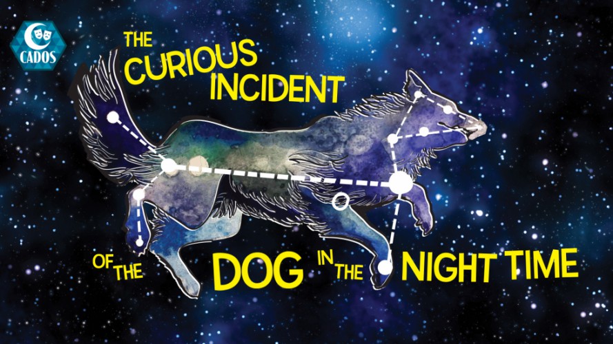The Curious Incident of the Dog In The Night-time